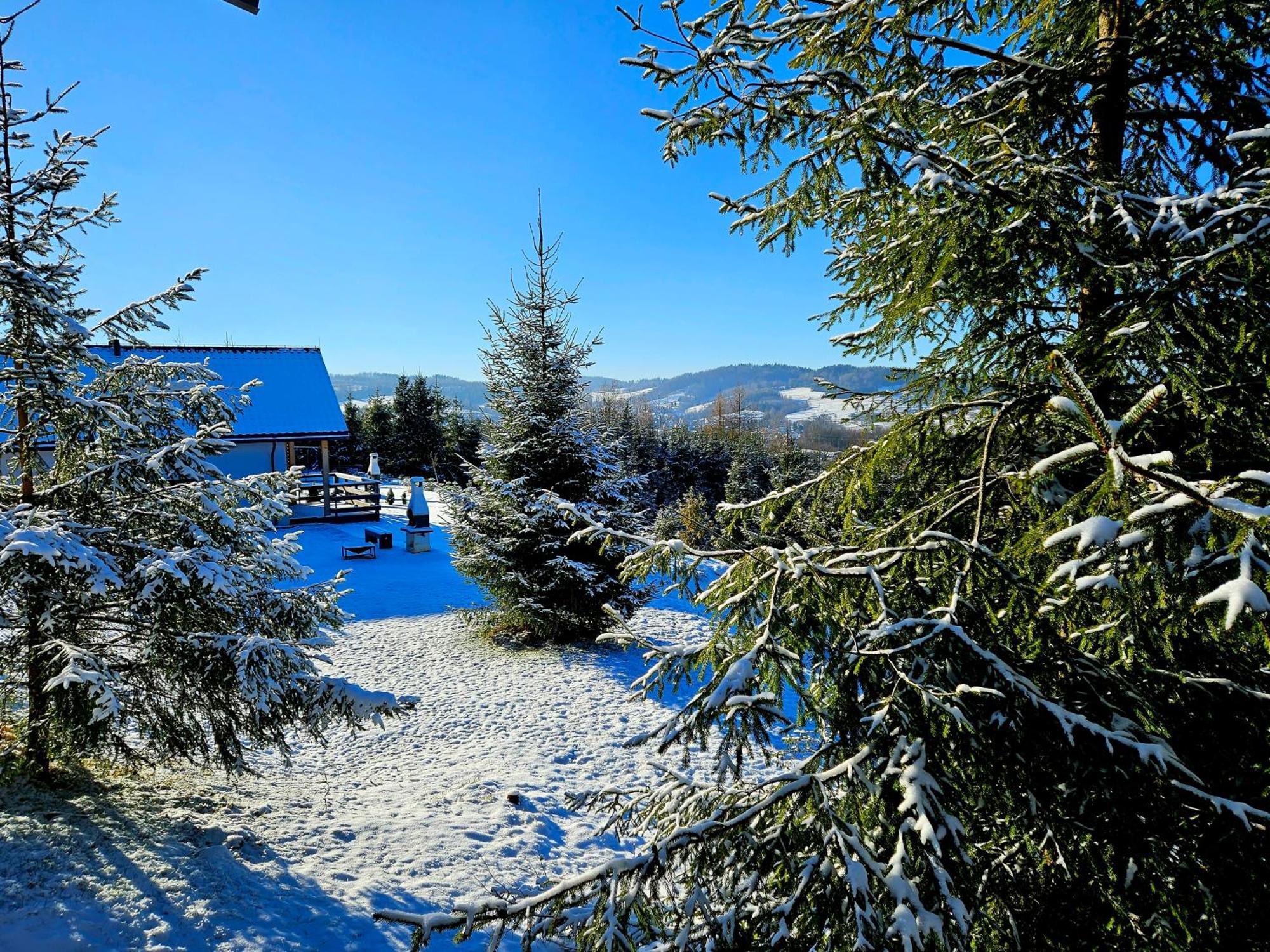 Bieszczadzka Pauza Villa Polańczyk Buitenkant foto