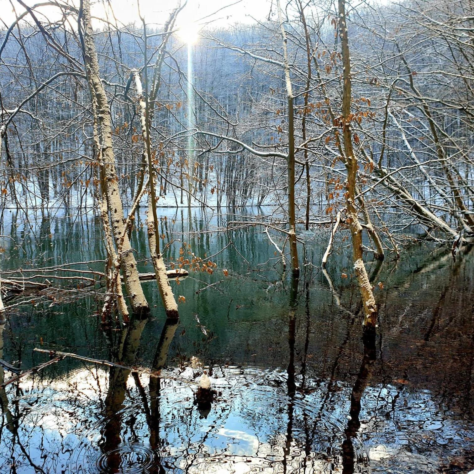 Bieszczadzka Pauza Villa Polańczyk Buitenkant foto