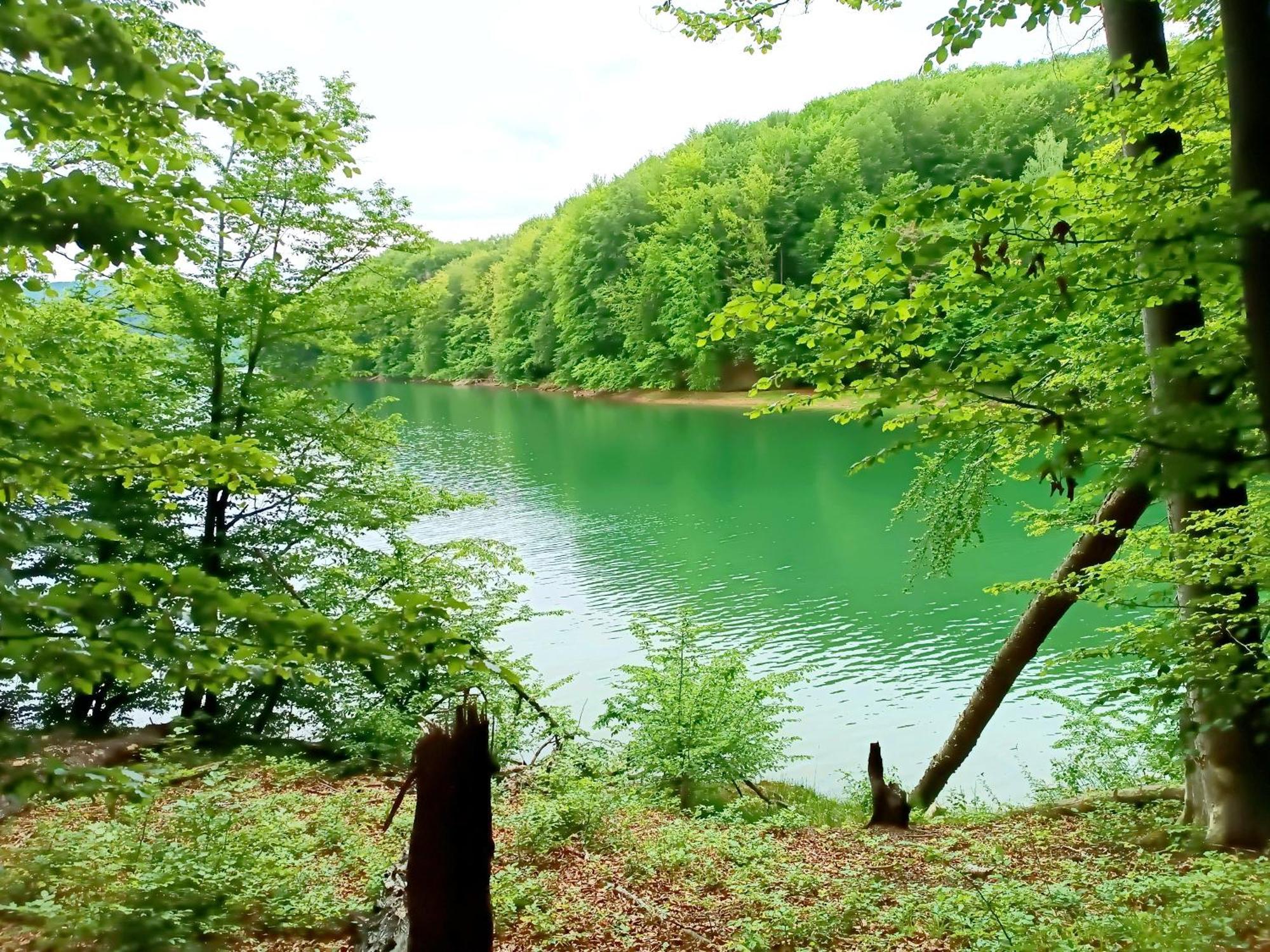 Bieszczadzka Pauza Villa Polańczyk Buitenkant foto