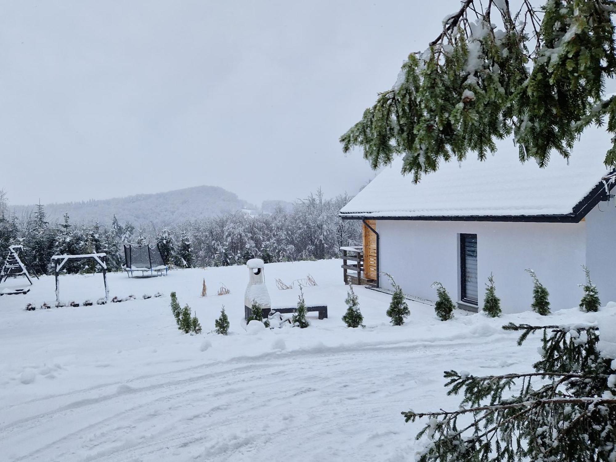 Bieszczadzka Pauza Villa Polańczyk Kamer foto